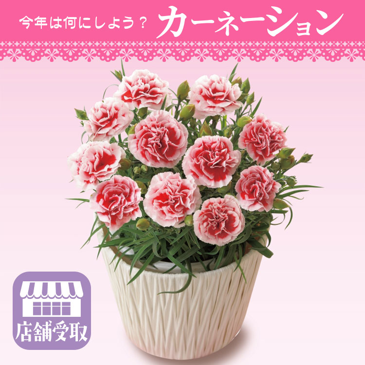 【店舗受取】いちごホイップ(濃ピンク覆輪)