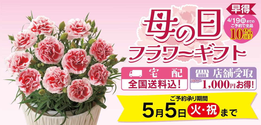 母の日