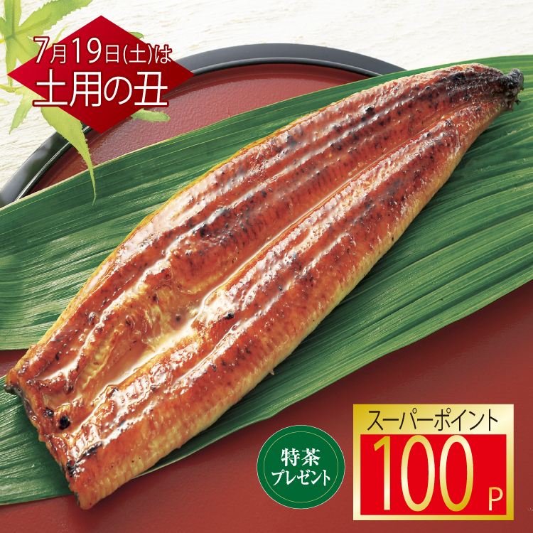 大新　鹿児島県産うなぎ蒲焼(長焼・特大)