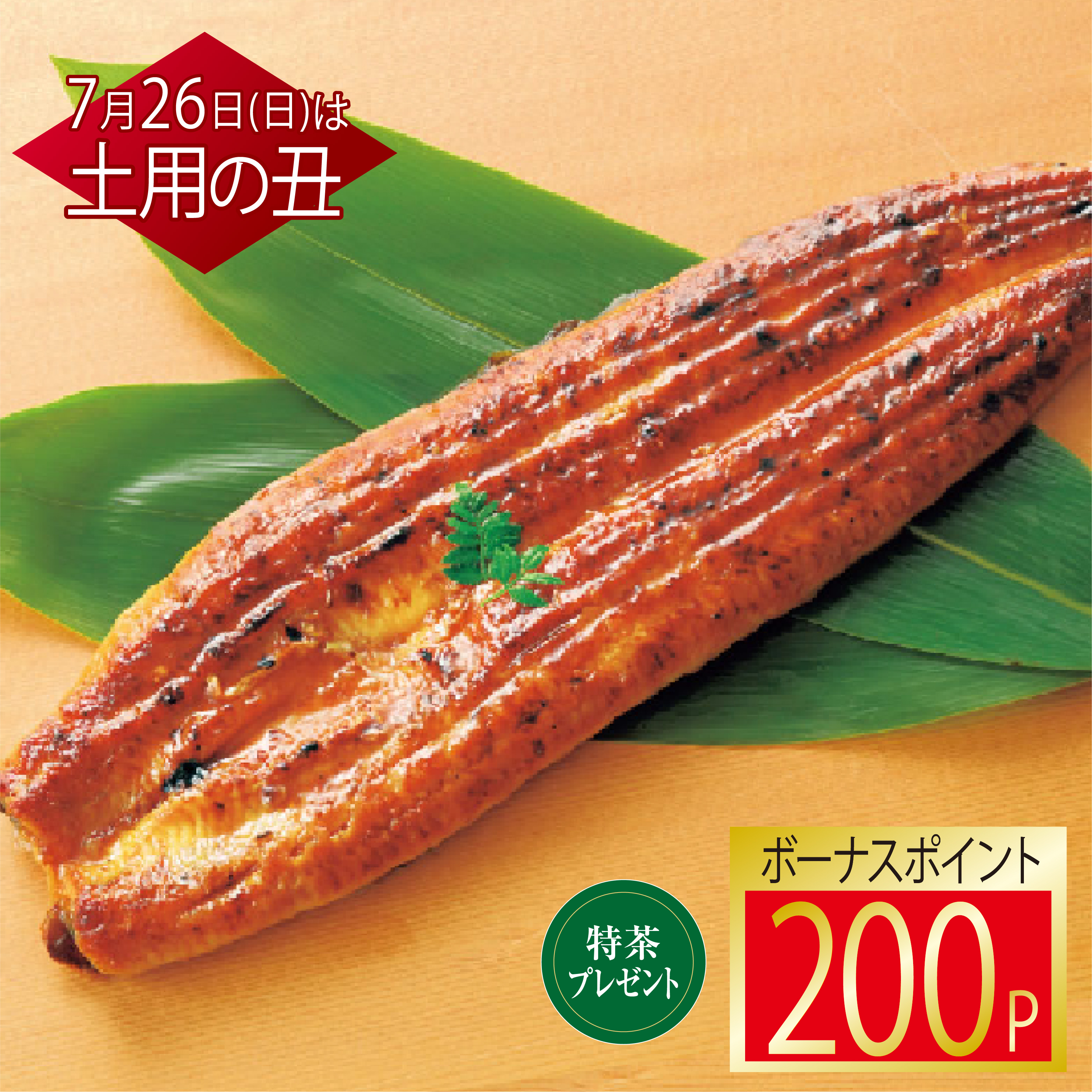鹿児島県産国産うなぎ蒲焼(長焼・特々大)