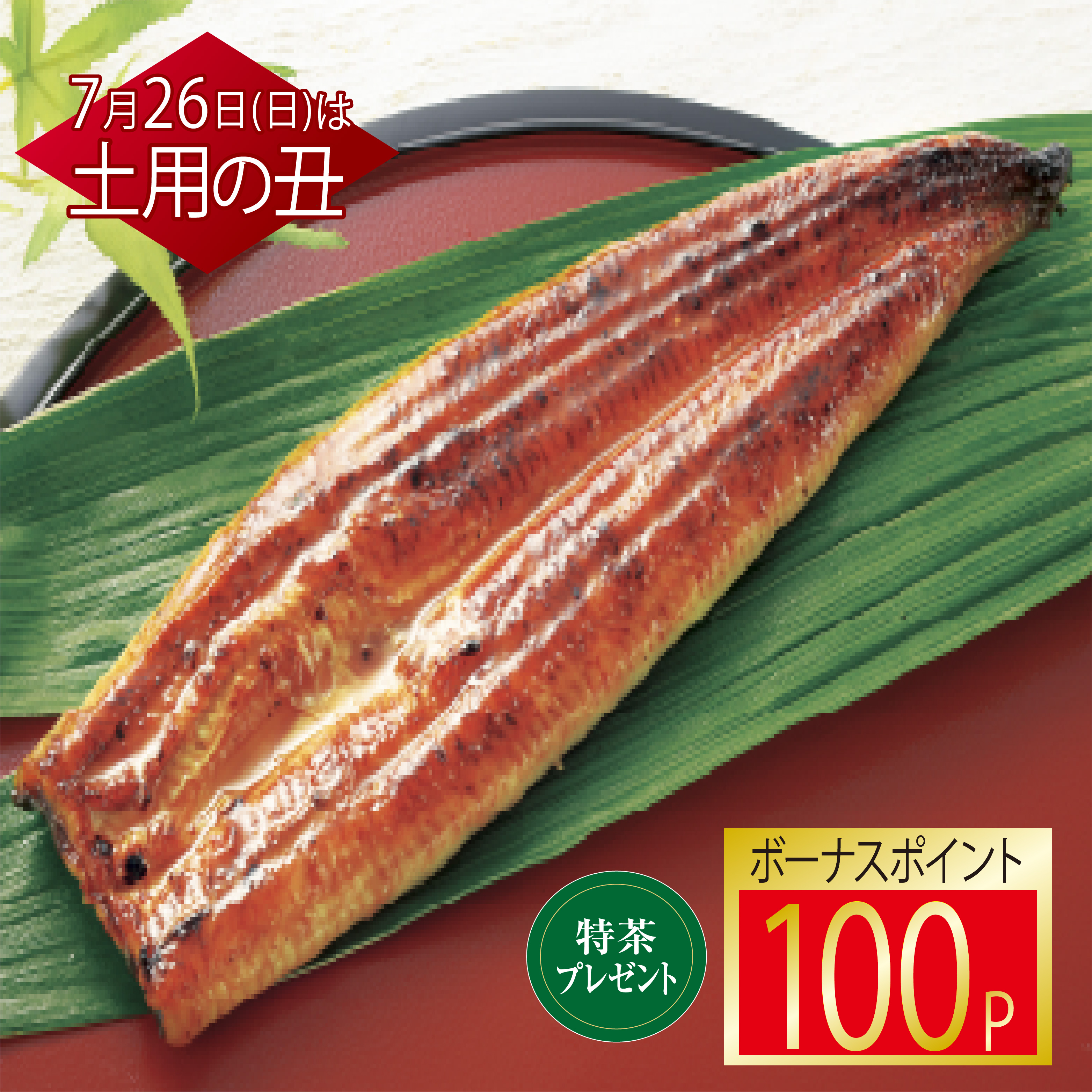 鹿児島県産うなぎ蒲焼(長焼・特大)