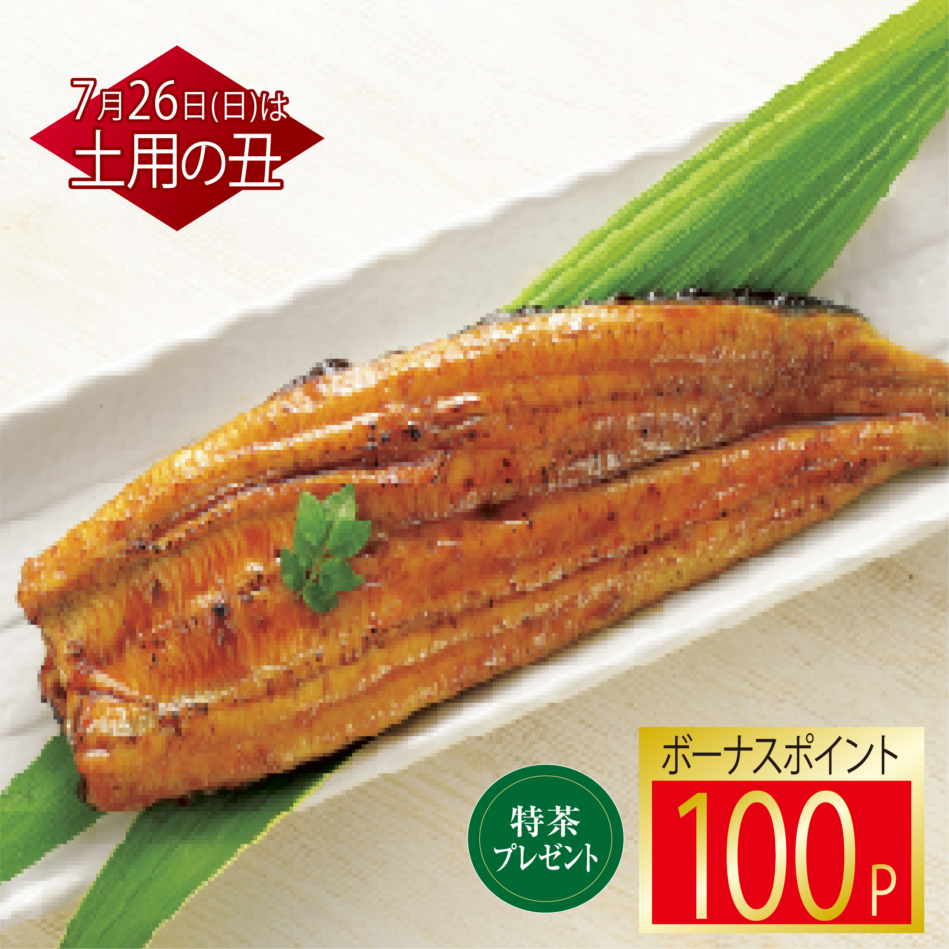愛知県など 新仔うなぎ蒲焼(長焼)